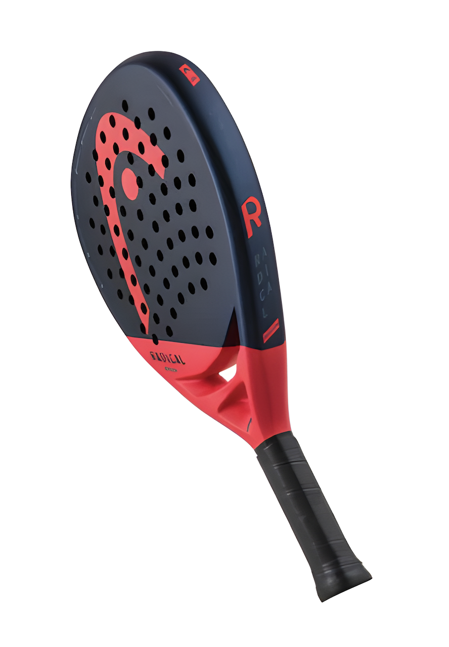 Encabezar movimiento radical 2024