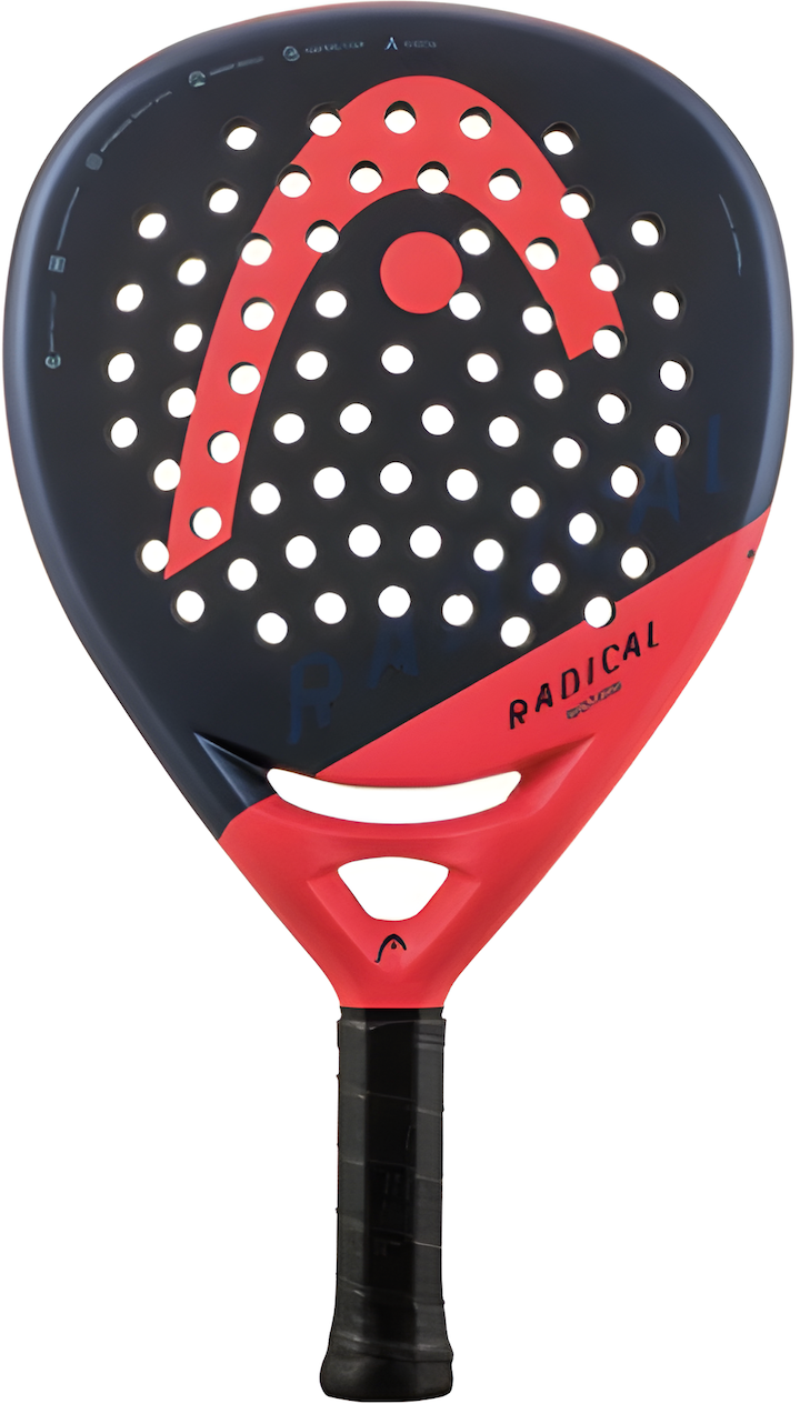 Encabezar movimiento radical 2024