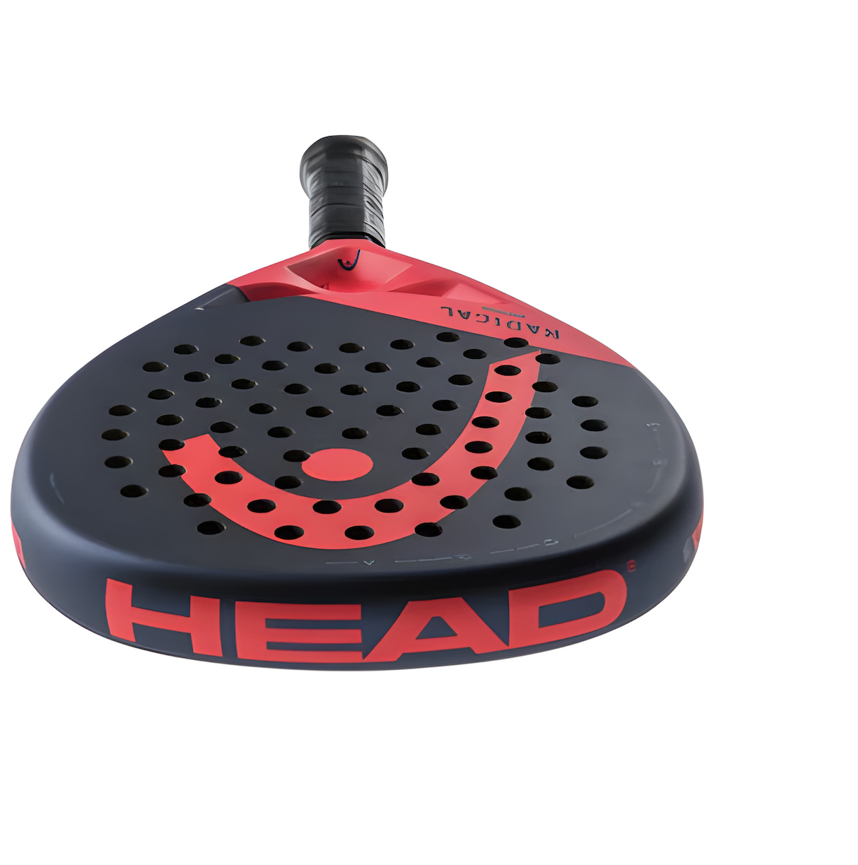 Encabezar movimiento radical 2024