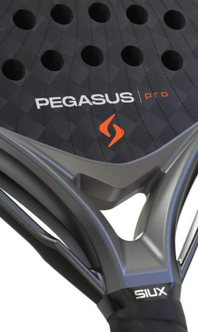 Siux Alex Chozas Pegasus Pro 2026 Grey