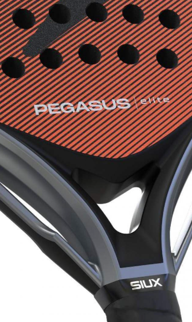 Siux Pegasus Elite 4 2026