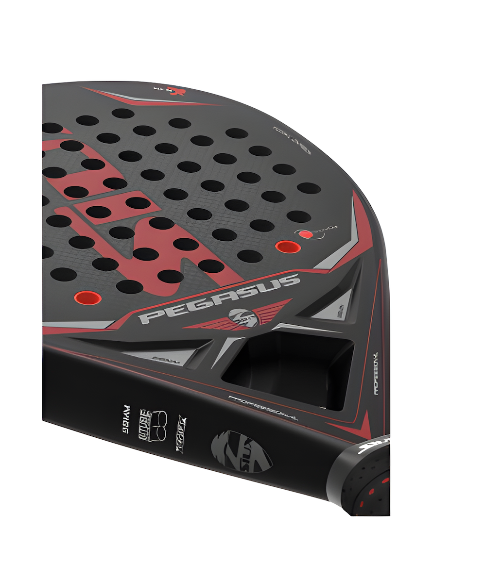 Siux pegasus 3K padel Racket