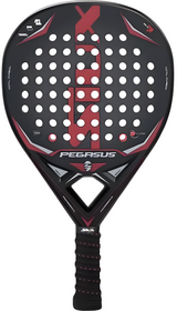 Siux pegasus 3K padel Racket