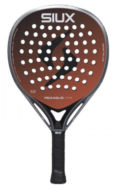 Siux Pegasus Elite 4 2026