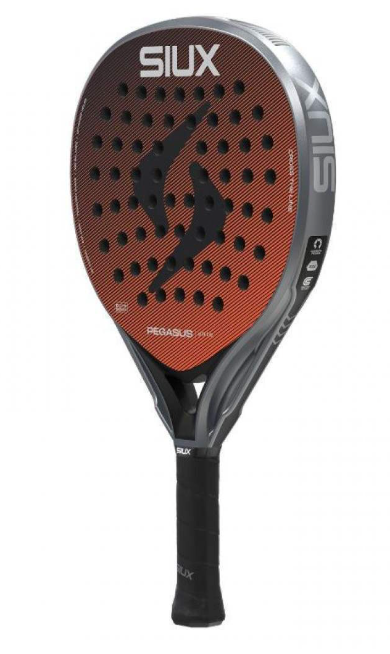 Siux Pegasus Elite 4 2026